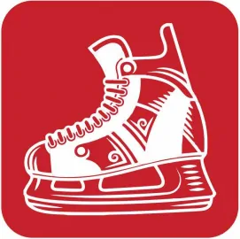 Хоккейные коньки