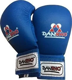 Накладки тхэквондо DANRHO SCG