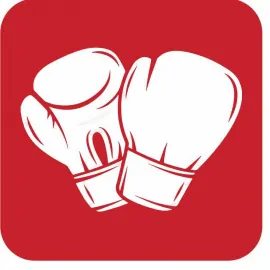 Перчатки боксерские