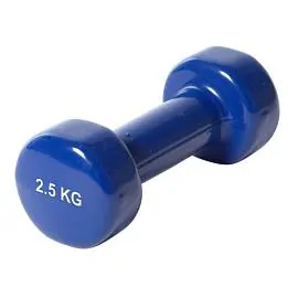 Гантель DB100 метал/винил 2.5 кг - 1шт