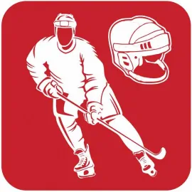 Хоккейная экипировка