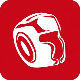 Шлемы для единоборств