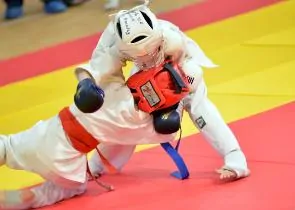 Чемпионат и первенство по Джиу-джитсу