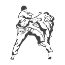 Единоборства