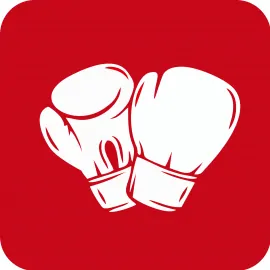 Перчатки для единоборств