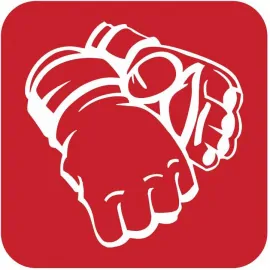 Перчатки атлетические