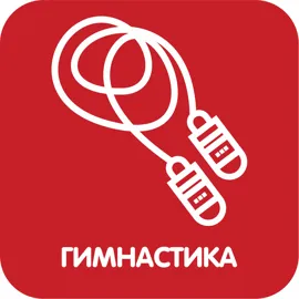 Гимнастика