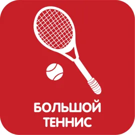 Большой теннис