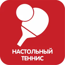 Настольный теннис