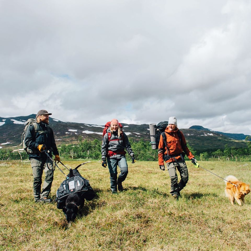 имидж 8.jpg имидж 8.jpg