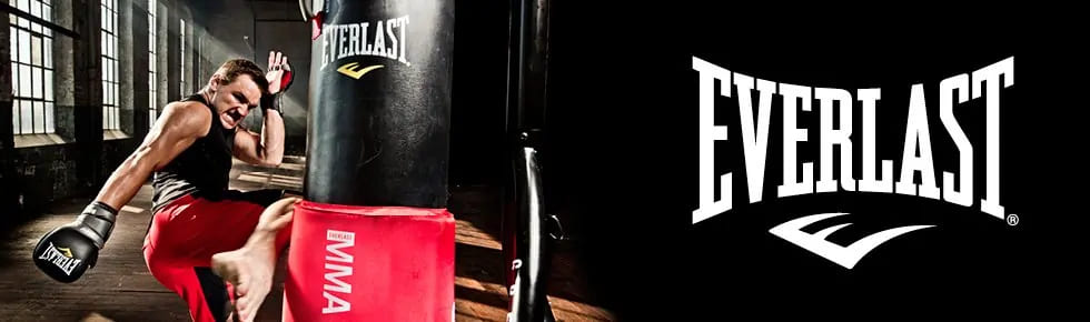 Everlast-01.jpg Everlast-01.jpg