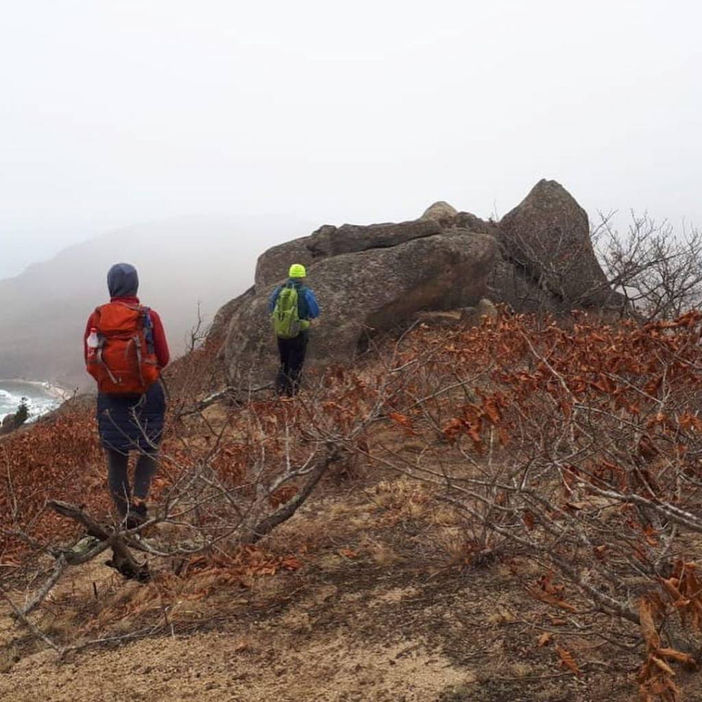 photo_2020-06-29_10-17-56 (4).jpg photo_2020-06-29_10-17-56 (4).jpg