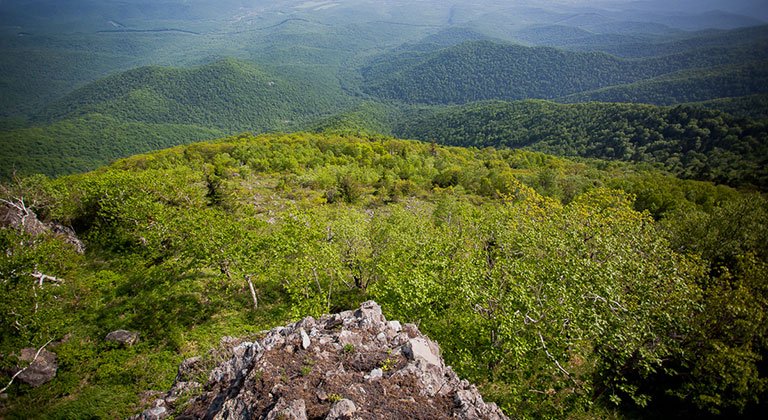 Поднимаемся на Туманную Поднимаемся на Туманную