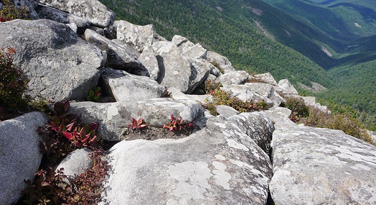 гора Ливадийская гора Ливадийская