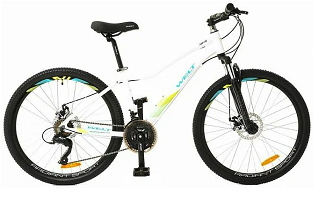 Велосипед WELT FLOXY 1.0 D 26 2022
