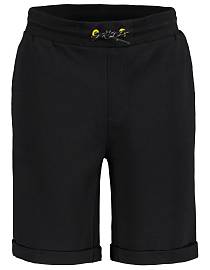 Шорты ICEPEAK Allagash 990 м.