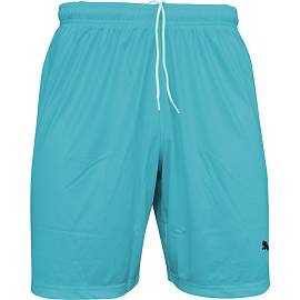 Шорты футбольные PUMA LIGA