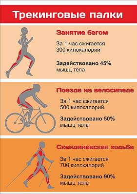 палки треккинговые btrace 4point