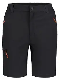 Шорты ICEPEAK Berwyn 990 м.