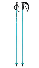 Палки горнолыжные HEAD World Cup Carbon 12.3mm bl