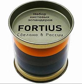 Набор эспандеров Fortius 3шт (40,50,60 кг)