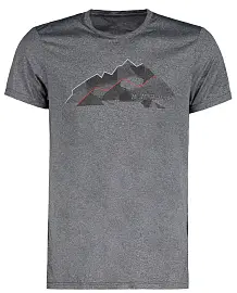 Футболка ICEPEAK Bridgeport 817 м.