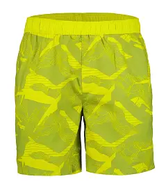 Аквашорты ICEPEAK Boyce 527 м.