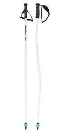 Палки горнолыжные HEAD World Cup SG 18mm WhBkSBl