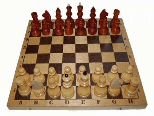 шахматы турнирные с доской 400х200х55
