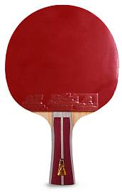 Ракетка н/теннис Double Fish 2A+C