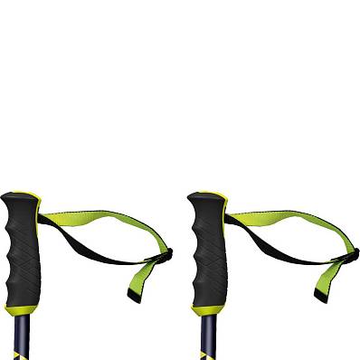 палки горнолыжные fischer rc4 worldcup gs/o