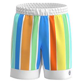 Шорты мужские Bidi Badu Paris 7 дюймов