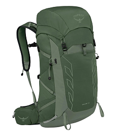 Рюкзак OSPREY Talon 33 Green Canopy Pine Leaf OS