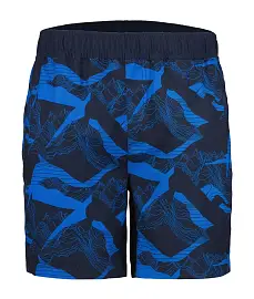 Аквашорты ICEPEAK Boyce 390 м.