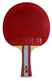 Ракетка н/теннис Double Fish 1A+C