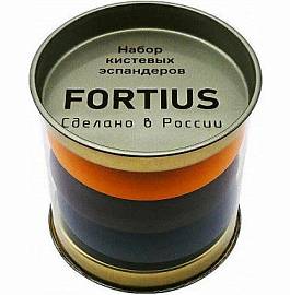 Набор эспандеров Fortius 3шт (40,50,60 кг)
